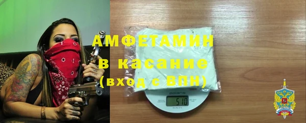 индика Богородск