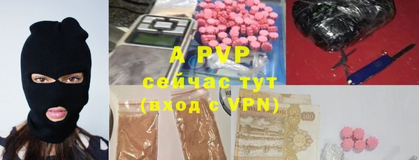 mdpv Богородицк