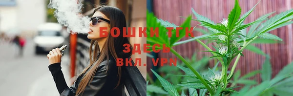 стаф Михайлов