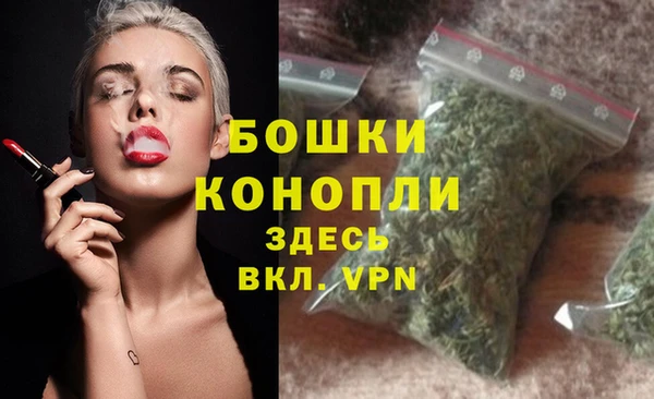 стаф Михайлов