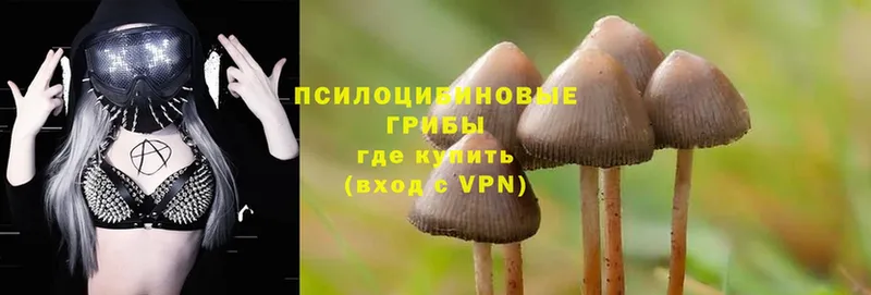 Псилоцибиновые грибы Magic Shrooms  Верхоянск 