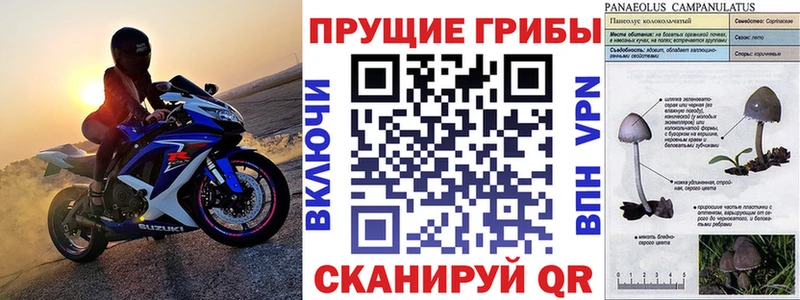 мега ТОР  Верхоянск  Галлюциногенные грибы GOLDEN TEACHER  где купить наркоту 